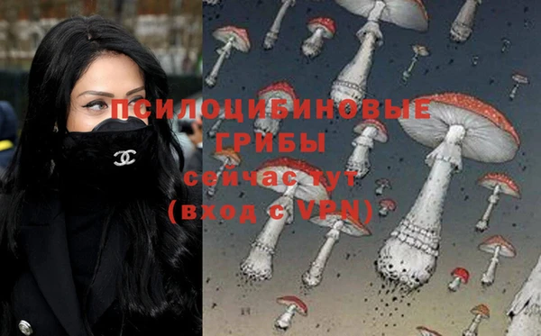 хмурый Киреевск