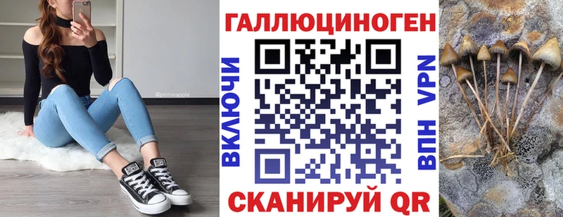 Псилоцибиновые грибы Cubensis  Купить где  Весьегонск 