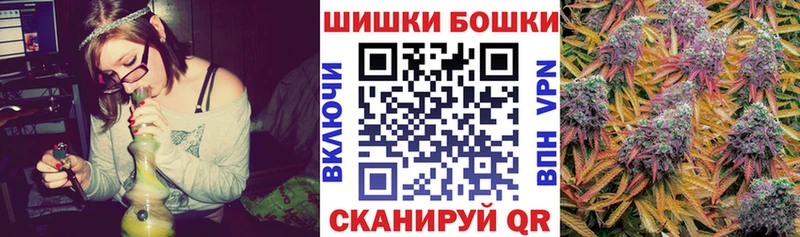 Купить  Весьегонск  Бошки марихуана сатива 